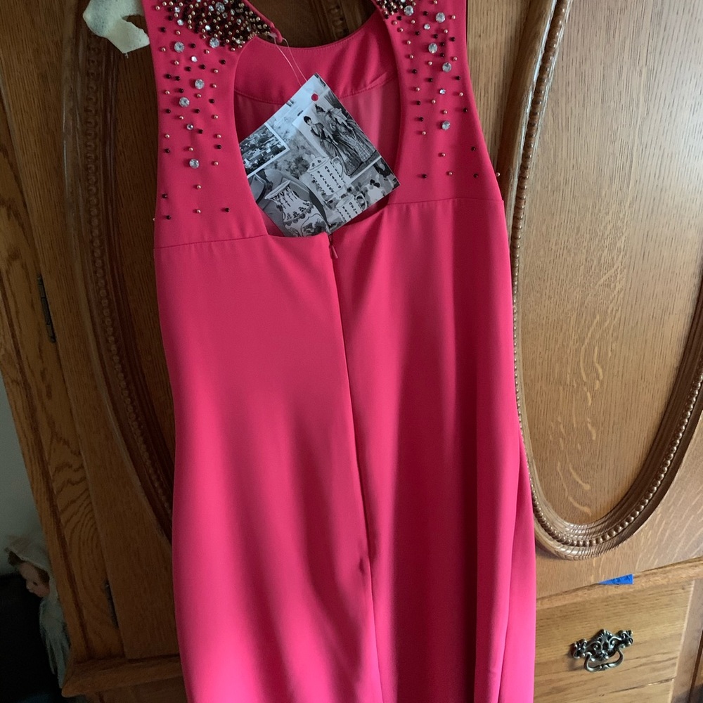 Jay Peterman Dressy Dress